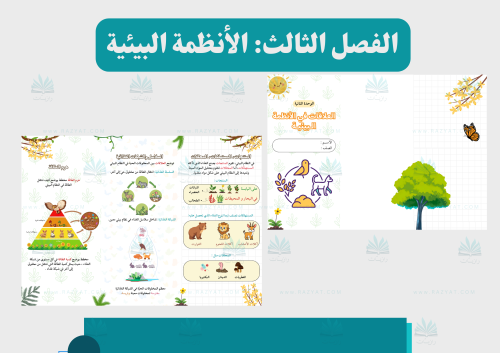 مطوية العلاقات في الأنظمة البيئية