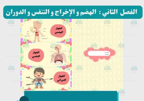 مطوية الهضم و الإخراج و التنفس و الدوران علوم سادس ابتدائي جاهزة للطباعة PDF