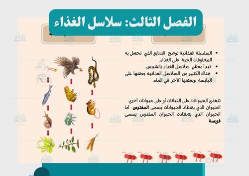 مطوية سلاسل الغذاء