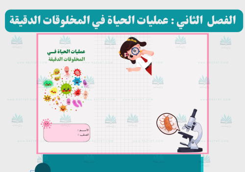 مطوية عمليات الحياة في المخلوقات الدقيقة علوم سادس ابتدائي جاهزة للطباعة PDF