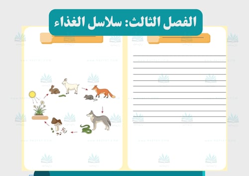 مطوية سلاسل الغذاء (مفرغة)