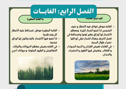 مطوية الغابات