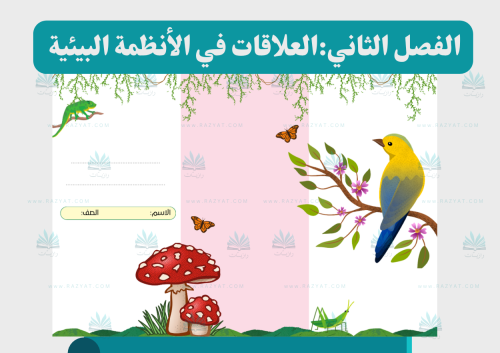 العلاقات في الأنظمة البيئية (مفرغة)