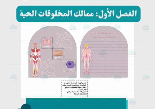 مطوية فصل ممالك المخلوقات الحية (مفرغة )