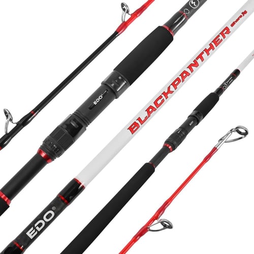 قصبة ايدو بلاك بانثر 300سم 20-100جرام