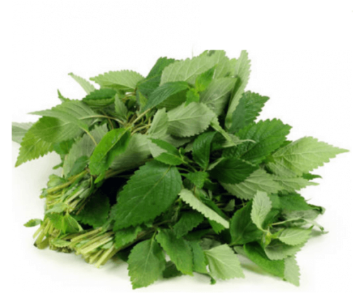 ملوخية مقطفة