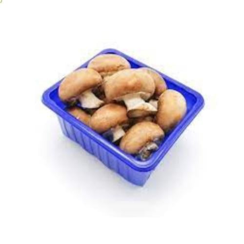 فطر بني