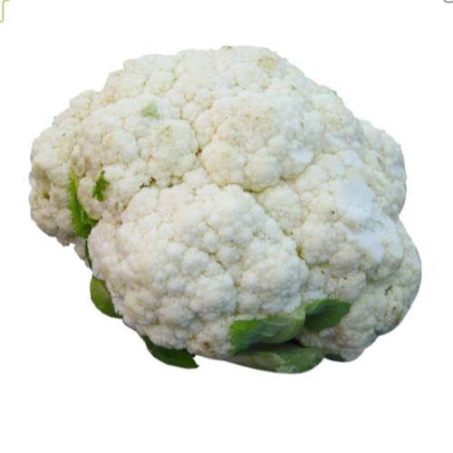 قرنبيط ( زهرة ) -حبة