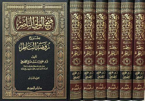فتح الولي الناصر بشرح روضة الناظر 6 مجلد