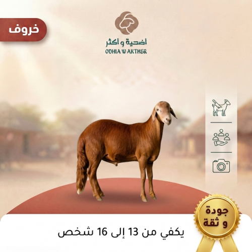 خروف