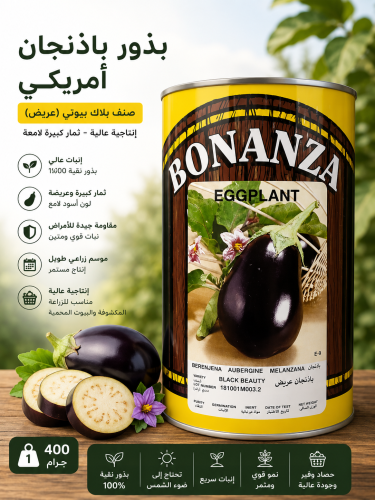 بذور باذنجان امريكي Bonanza 400 جرام - صنف بلاك لا...