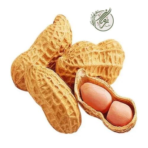 فول سوداني بالقشرة