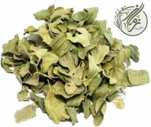 ورق سدر طبيعي مجفف