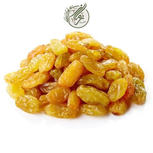 زبيب أصفر أمريكي جابو