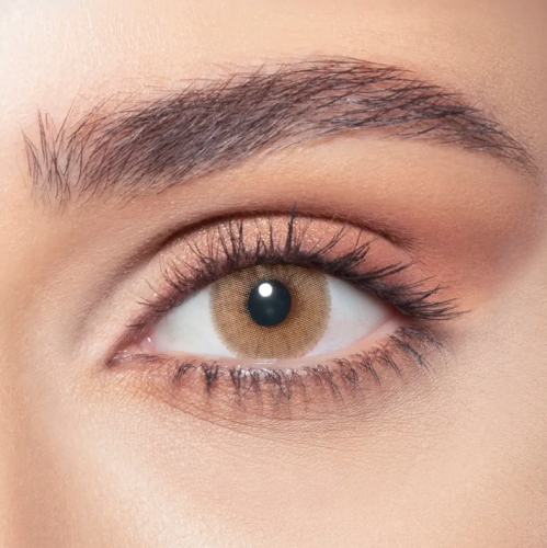 عدسات بيلا إيليت شهرية - وايلد هني Wild Honey