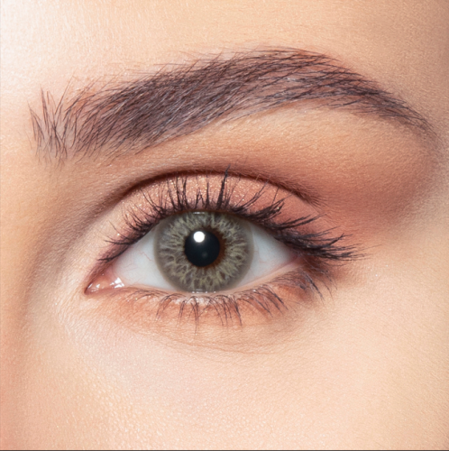 عدسات بيلا اليومية ايرث Bella Earth