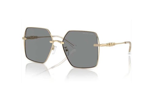 Michael Kors 1157/58/1014/3F