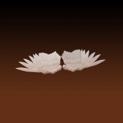 Angel wings