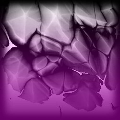 مستري Chameleon