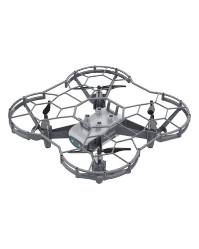 WhalesBot Eagle 1003
