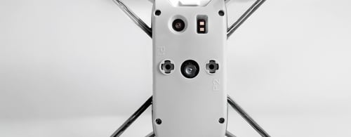 WhalesBot Eagle 1003