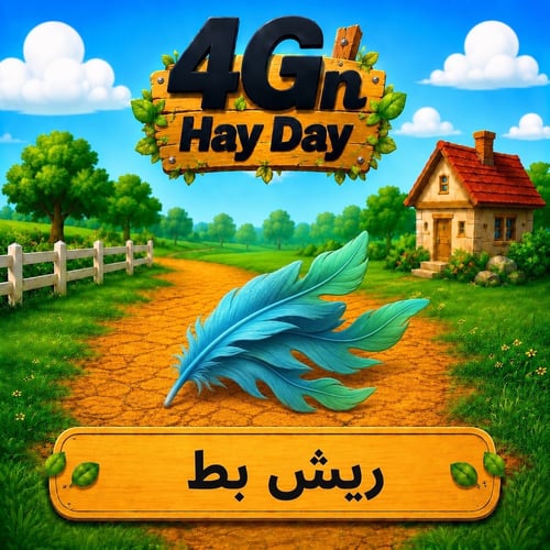 50 ريش بط