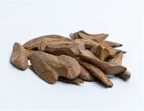 عود مروكي طبيعي آصقون محسن فاخر (مجالس شيوخ) عود م...