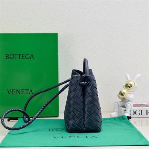 Bottega Veneta Small Andiamo - Premium Quality
