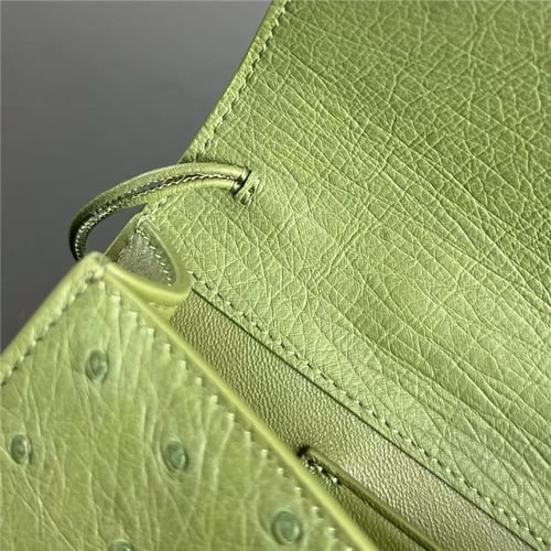 Bottega Veneta Andiamo Clutch