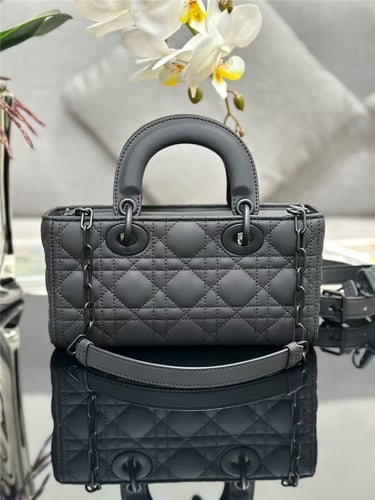 DIOR Small Lady D Joy Bag