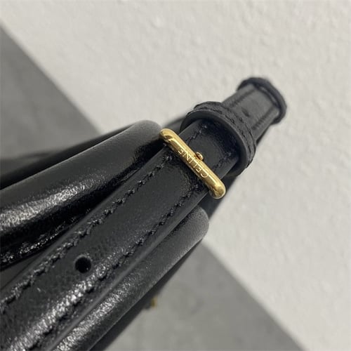 CELINE Small New Luggage In Supple Shiny lambskin