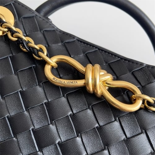 Bottega Veneta Small Andiamo With Chain