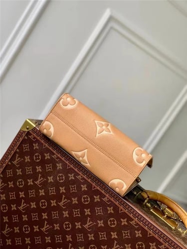 Louis Vuitton Onthego PM Monogram Handbag