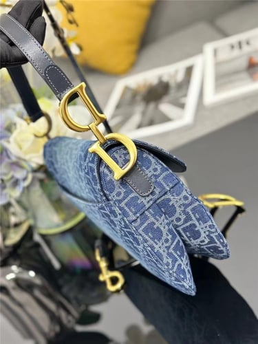 DIOR Saddle Bag