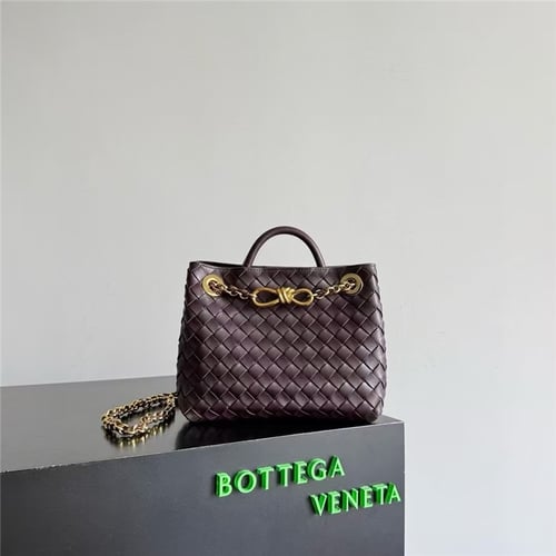 Bottega Veneta Small Andiamo With Chain