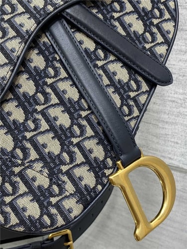 DIOR Saddle Bag