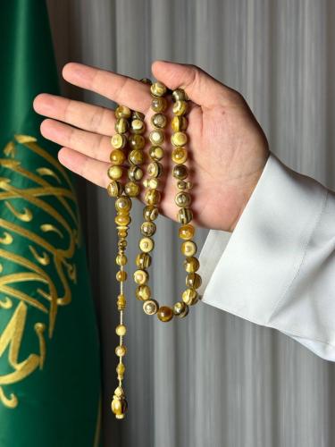 مسباح ظهر السلحفاة البرية 45 خرزة