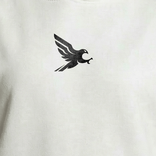 هودي برمز الصقر