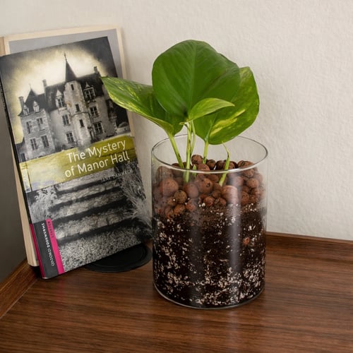 البوتس الزجاجي الأنيق