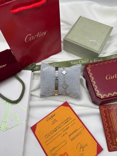 بكج اسوارتين فضي ميني