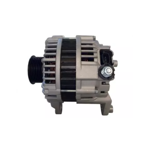 دينمــو باثفنيــدر 6 سلندر2006-2007 ماليزي