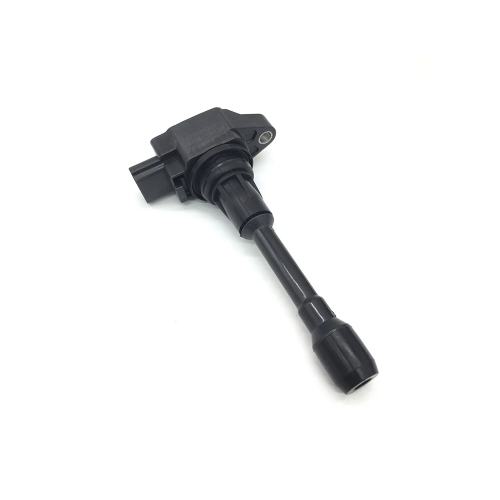 كويل صني 2012-2020 أصلي