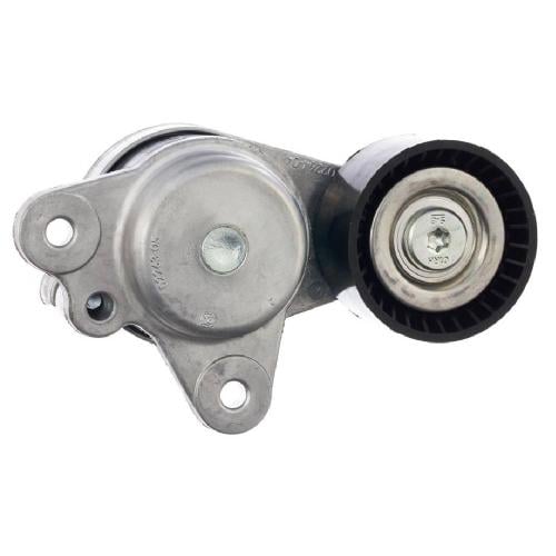 بكرة شداد ماكسيما 2020-2024 أصلي