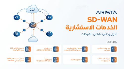 SD-WAN CONSULTING SERVICES