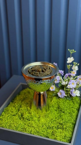 هدية رمضانية 9