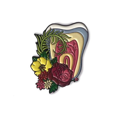 بروش السن الوردي