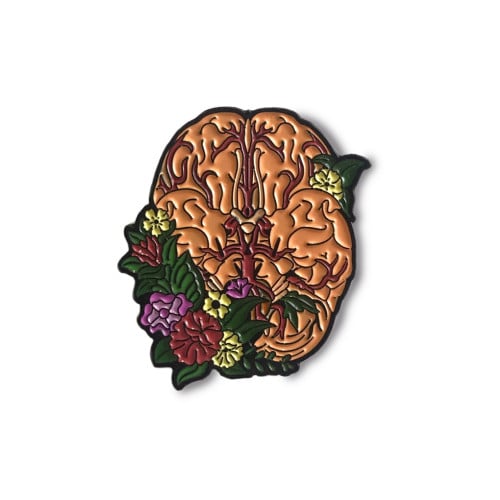 بروش دماغ (مخ )