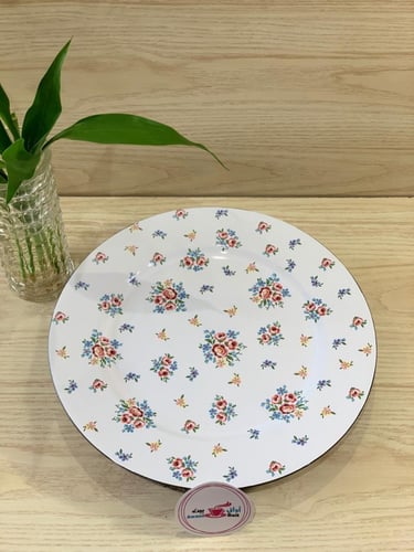 صحن بلاستيك