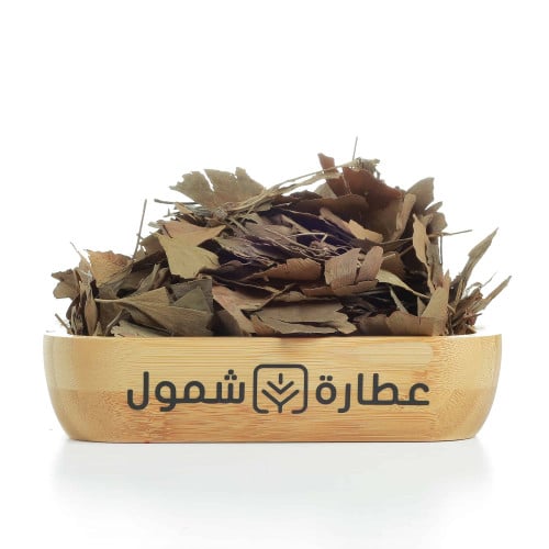 الجنكا بيلوبا 125 جم