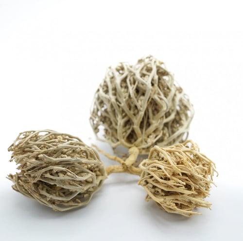 كف مريم 125 جم